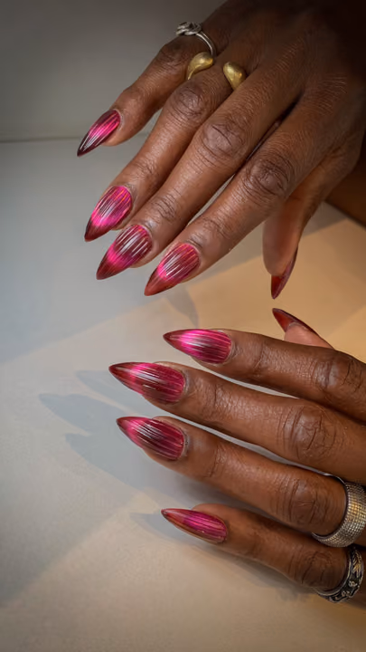 Cat Eye, Stiletto, Velvet Effect — nail work by NailzzwithANNIE