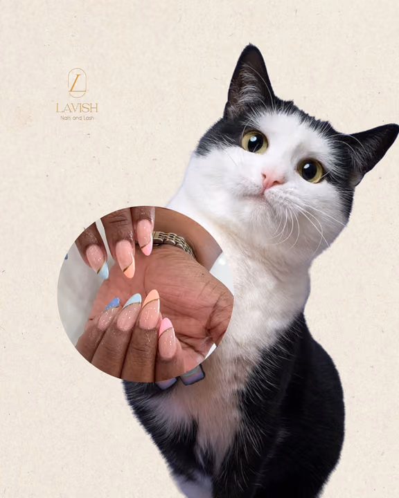 Line Art, French Manicure, Negative Space — nail work by Lavish Nails & Lash
