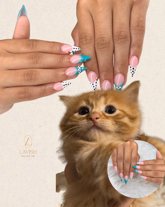 French Manicure, Pattern Work, Stiletto — nail work by Lavish Nails & Lash